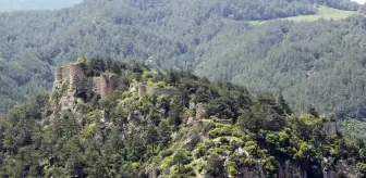 Hasanbeyli nerede? Hasanbeyli ilçesinin nüfusu, yüzölçümü ne kadar? Hasanbeyli ilçesi hangi ile bağlı?