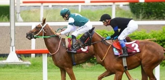 Deprem felaketi nedeniyle iptal edilen at yarışlarının başlama tarihi belli oldu