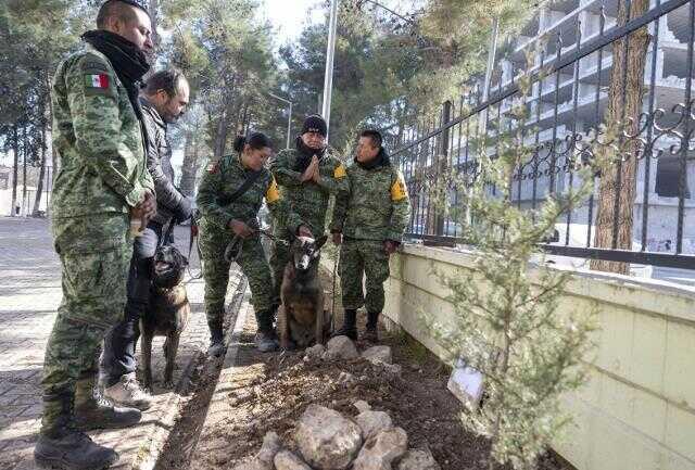 Proteo neden öldü? Deprem köpeği Proteo ölüm sebebi ne? Proteo'nun enkaz altında kalarak öldüğü iddiası doğru mu?