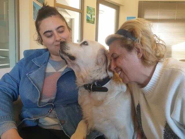 Köpekleri anne ve kızlarını enkaz altında kalmaktan böyle kurtarmış: Tırnaklarını bileğine geçirip yataktan düşürdü Köpekleri anne ve kızlarını enkaz altında kalmaktan böyle kurtarmış: Tırnaklarını bileğine geçirip yataktan düşürdü