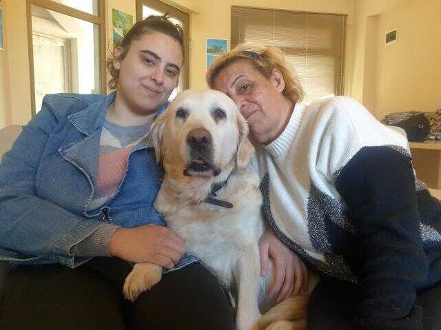 Köpekleri anne ve kızlarını enkaz altında kalmaktan böyle kurtarmış: Tırnaklarını bileğine geçirip yataktan düşürdü Köpekleri anne ve kızlarını enkaz altında kalmaktan böyle kurtarmış: Tırnaklarını bileğine geçirip yataktan düşürdü