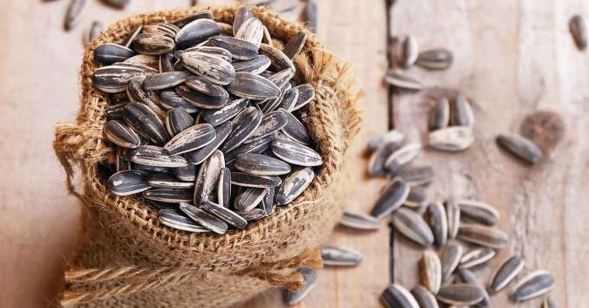 Rüyada çekirdek yemek ne anlama gelir? Rüyada kabak çekirdeği yemek nedir? Rüyada ay çekirdeği yemek ne demek?