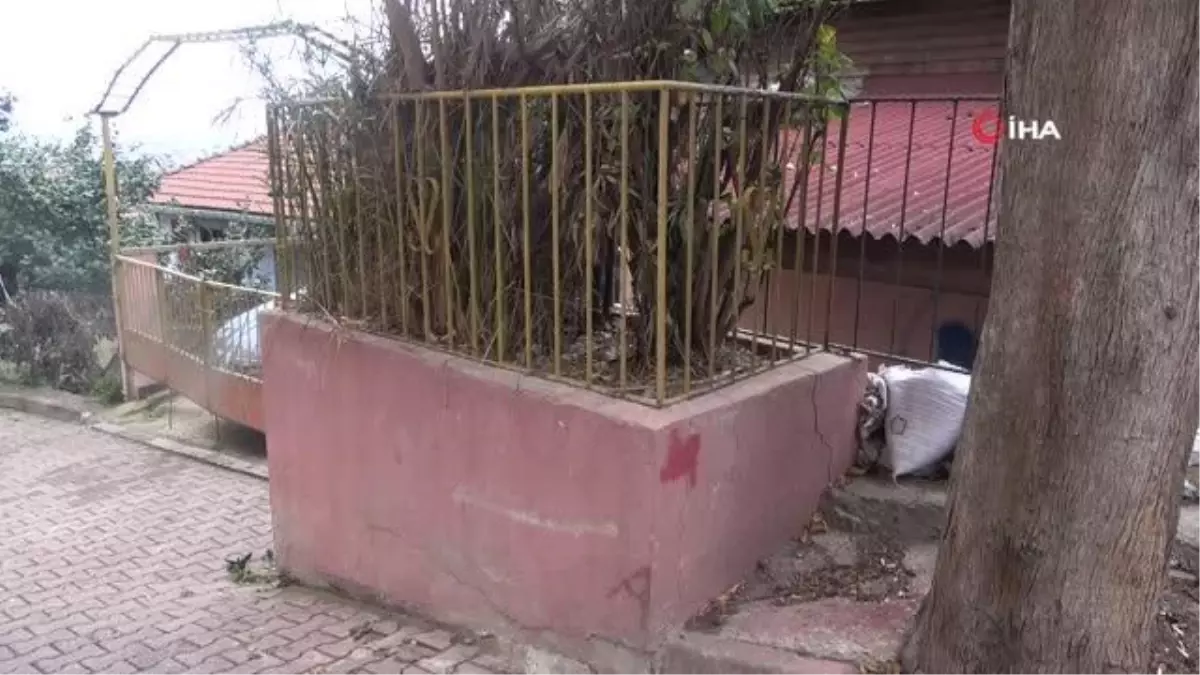 Evin önündeki gizemli türbe merak uyandırıyor