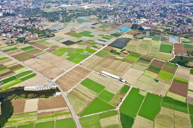 Çin'de İlkbaharın Gelişiyle Tarım Faaliyetleri Arttı