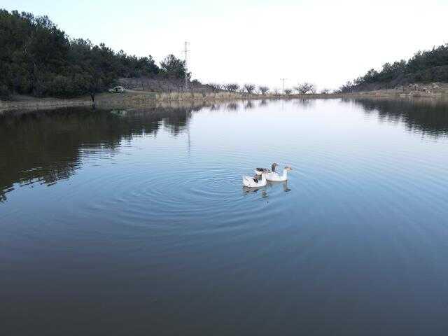 Marmara Gölü kurudu göçmen kuşlar rotayı Sülüklü Göl'e çevirdi Marmara Gölü kurudu göçmen kuşlar rotayı Sülüklü Göl'e çevirdi