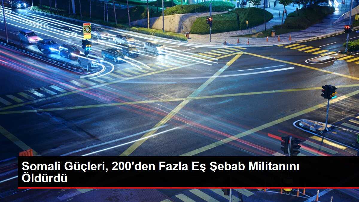 Somali Güçleri, 200'den Fazla Eş Şebab Militanını Öldürdü