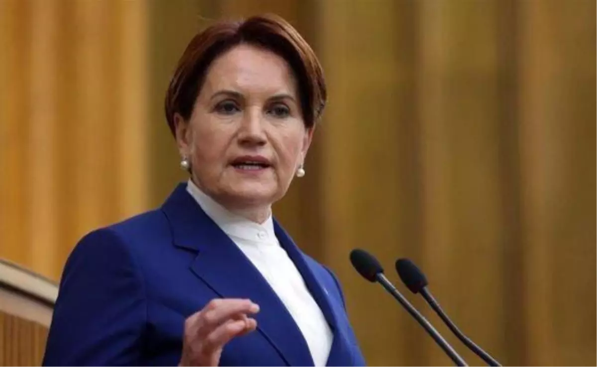 Meral Akşener kimdir, nerelidir? Meral Akşener kaç yaşında? Meral Akşener hayatı ve biyografisi!