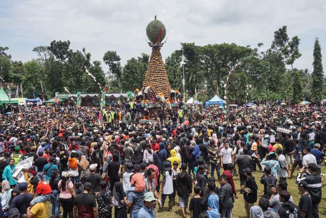 Endonezya'da Durian Festivali Endonezya'da Durian Festivali