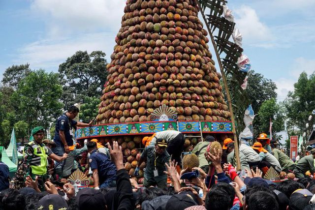 Endonezya'da Durian Festivali Endonezya'da Durian Festivali