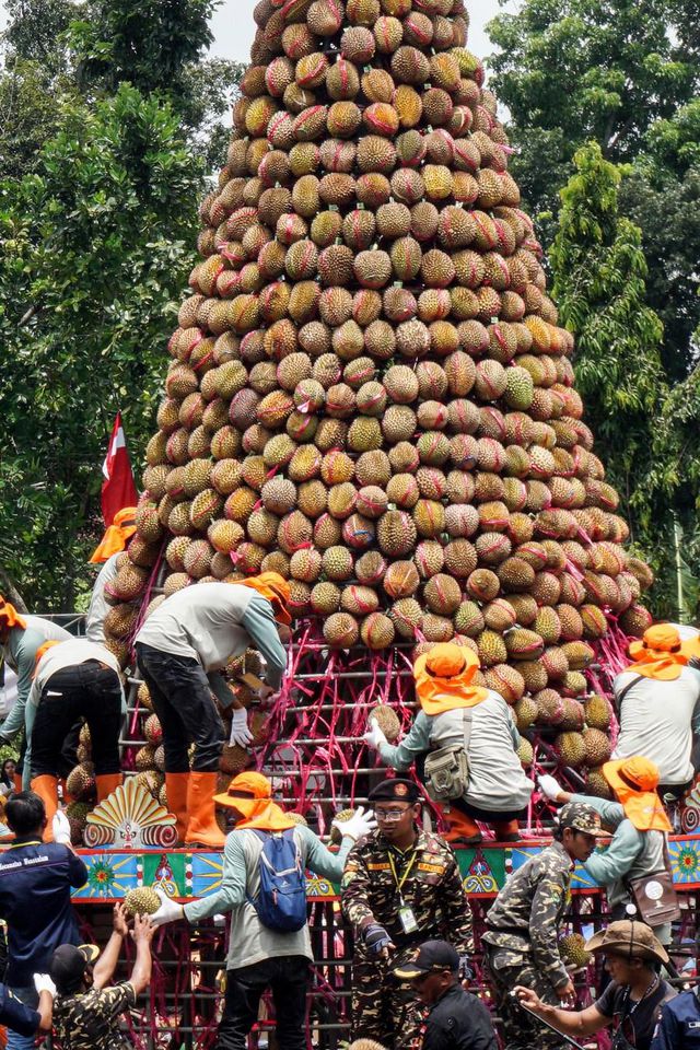 Endonezya'da Durian Festivali Endonezya'da Durian Festivali
