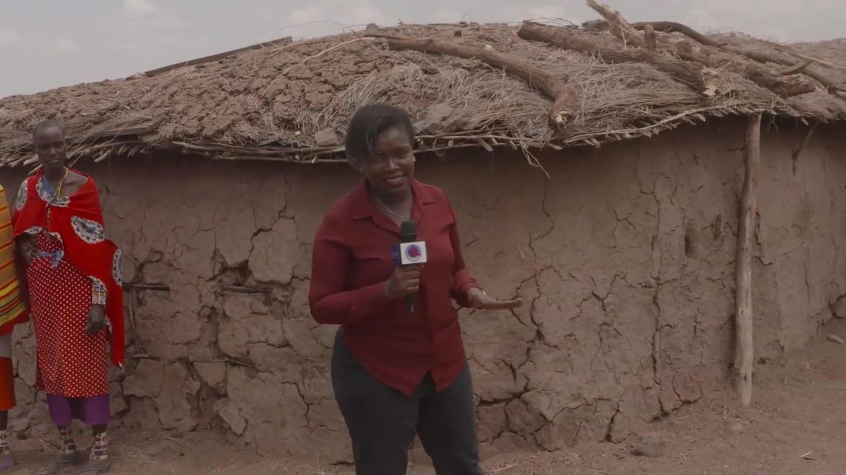 Kenya'daki Festivalde 17'den Fazla Fil Sahiplendirildi