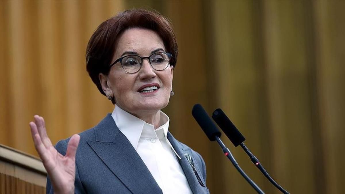 Meral Akşener'in oğlu kimdir? Fatih Akşener kimdir, kaç yaşında, nereli, mesleği ne? Meral Akşener'in kaç çocuğu var?