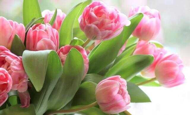 8 Mart Dünya Kadınlar Günü sözleri! 8 Mart Kadınlar Günü mesajları sevgiliye, anneye! En güzel, kısa Kadınlar Günü sözleri ve mesajları! 8 Mart Dünya Kadınlar Günü sözleri! 8 Mart Kadınlar Günü mesajları sevgiliye, anneye! En güzel, kısa Kadınlar Günü sözleri ve mesajları!