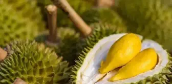 Durian meyvesi nedir? Durian meyvesi nasıl yetişir? Durian meyvesi neye iyi gelir?