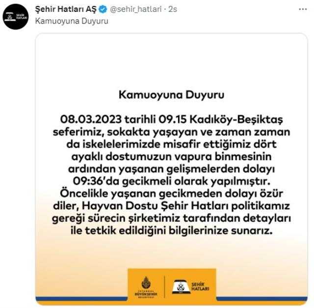 Kadıköy-Beşiktaş vapuruna sokak köpeği bindi, seferi iptal eden kaptana yolculardan tepki