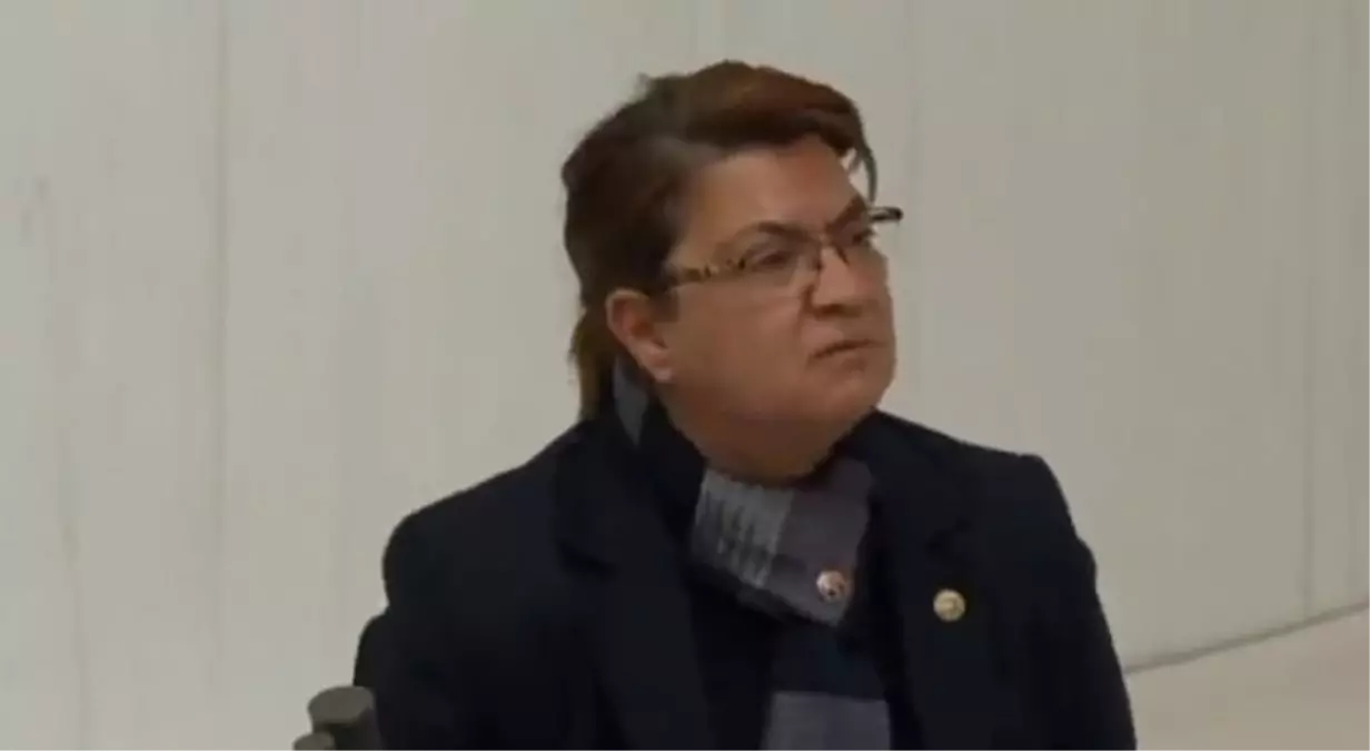 Suzan Şahin kimdir, hangi partiden? Suzan Şahin kaç yaşında, nereli? Suzan Şahin hayatı ve biyografisi!