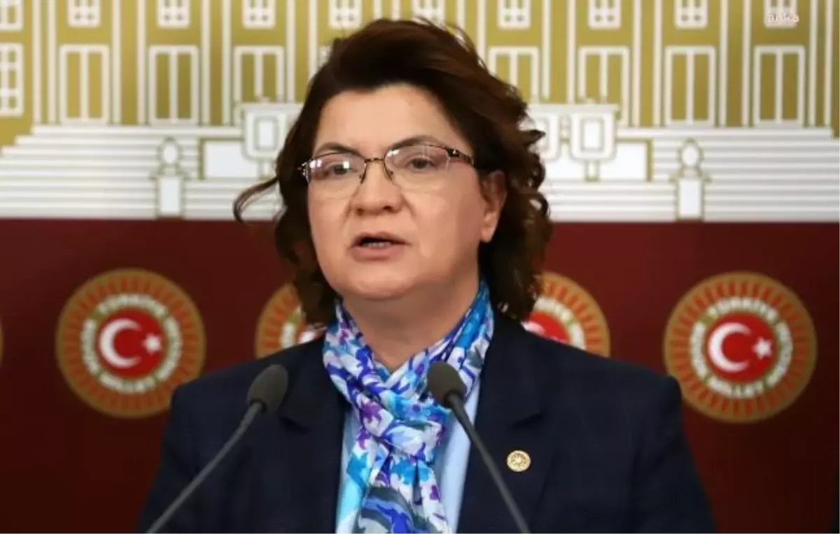 Suzan Şahin kimdir? Kaç yaşında, nereli, mesleği ne? Suzan Şahin hangi partili, milletvekili mi, nereden hangi partiden milletvekili?