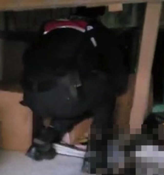 Dubleks dairede bulunan gizli geçit jandarmayı şaşırttı