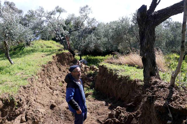 Hatay'da dev fay yarıkları ve çukurlar ağaçları yuttu Hatay'da dev fay yarıkları ve çukurlar ağaçları yuttu