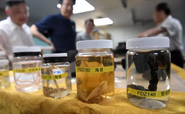 Çin Araştırma Gemisi, Okyanusya Açıklarındaki Derin Deniz Araştırma Görevini Tamamladı Çin Araştırma Gemisi, Okyanusya Açıklarındaki Derin Deniz Araştırma Görevini Tamamladı