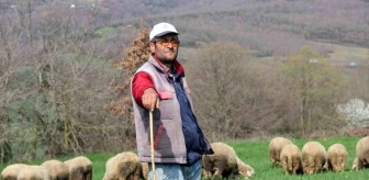 Şehir hayatından sıkıldı, 55 yaşında çobanlık yapmaya başladı