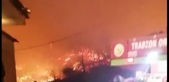 Trabzon Of'ta örtü yangını (2)