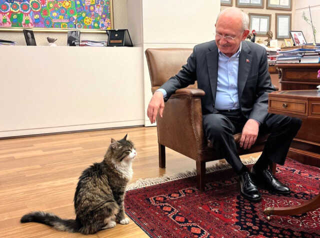 Kılıçdaroğlu Şero'ya söz verdi: İktidara gelince yaş mamayı lüks olmaktan çıkaracağım