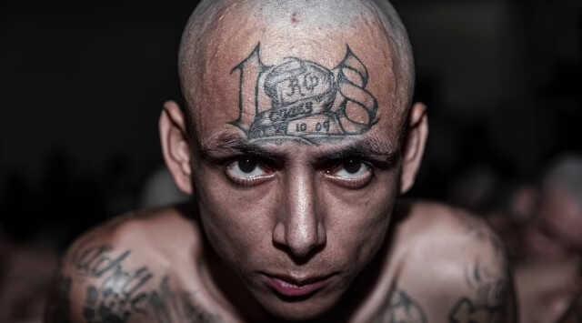 El Salvador'da Amerika kıtasının en büyük hapishanesine 2 bin çete üyesi daha nakledildi El Salvador'da Amerika kıtasının en büyük hapishanesine 2 bin çete üyesi daha nakledildi