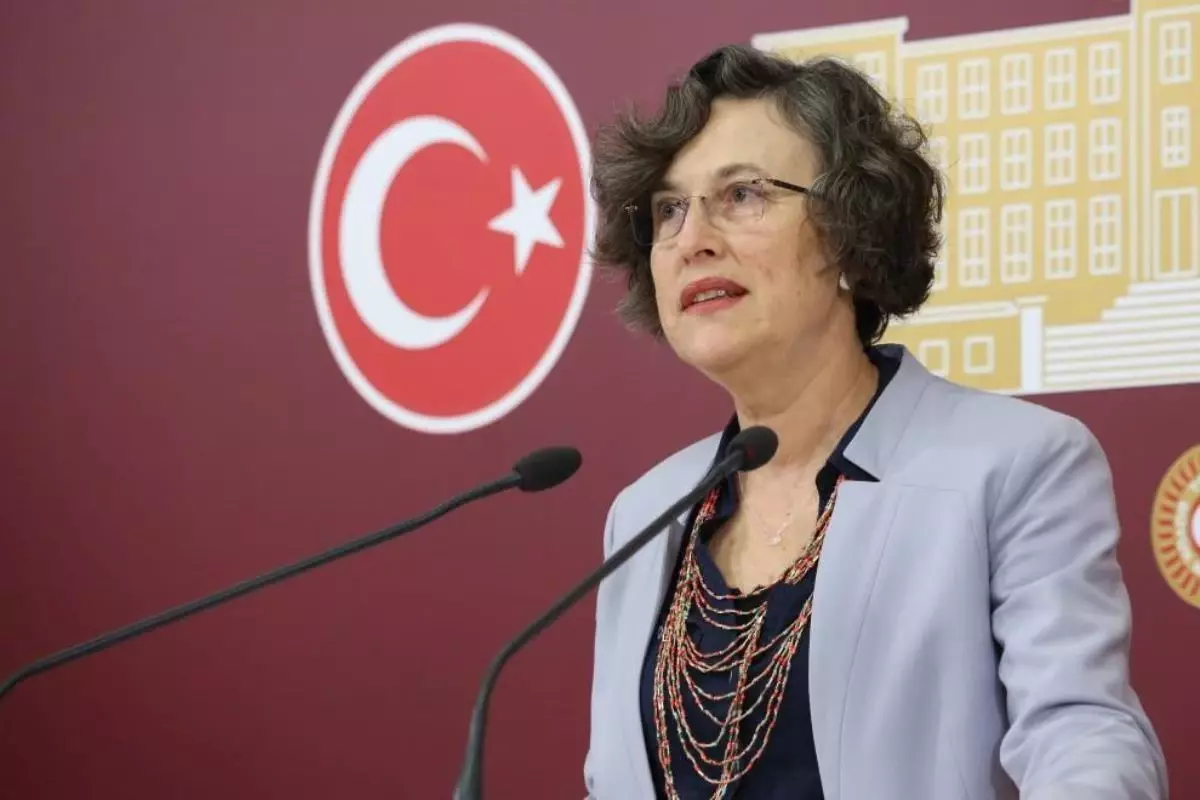 Filiz Kerestecioğlu kimdir? Filiz Kerestecioğlu kaç yaşında, nereli? Filiz Kerestecioğlu hayatı ve biyografisi!