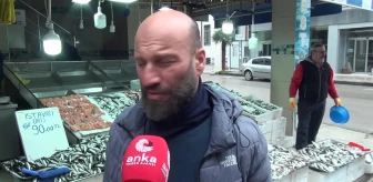 Sinop'ta Kalkan Balığının Kilosu 600 Liraya Çıktı. Sinoplu Balıkçı: 'Vatandaş Kalkan Balığını Yiyemiyor Çünkü Çok Pahalı'