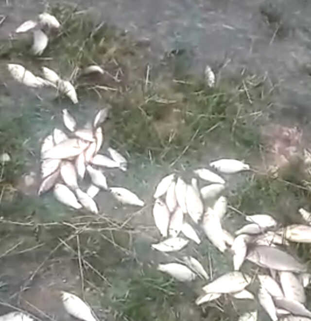 Malatya sel baskını SON DAKİKA! Malatya'da sel baskını nerede oldu, yaralı var mı? Malatya sel baskını SON DAKİKA! Malatya'da sel baskını nerede oldu, yaralı var mı?