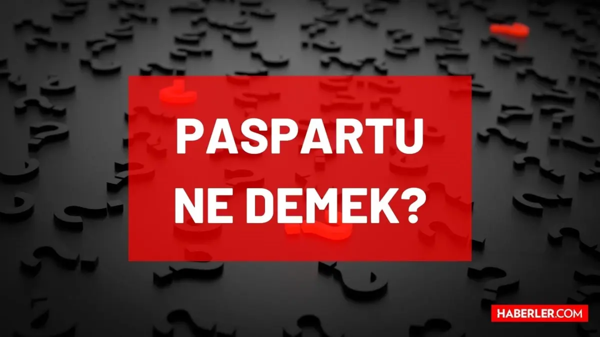 Paspartu ne demek? TDK'ya göre Paspartu nedir, ne anlama geliyor? Paspartu nedir, ne demektir?