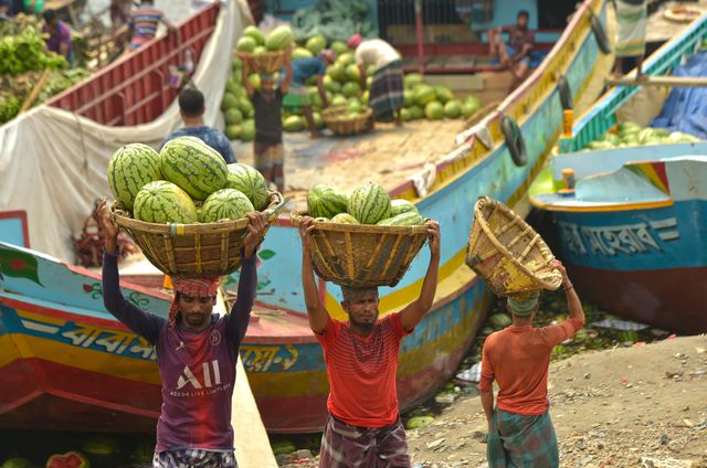 Bangladeş'te Hasat Edilen Karpuzlar Satışa Teknelerle Götürülüyor
