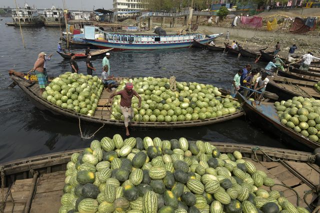 Bangladeş'te Hasat Edilen Karpuzlar Satışa Teknelerle Götürülüyor