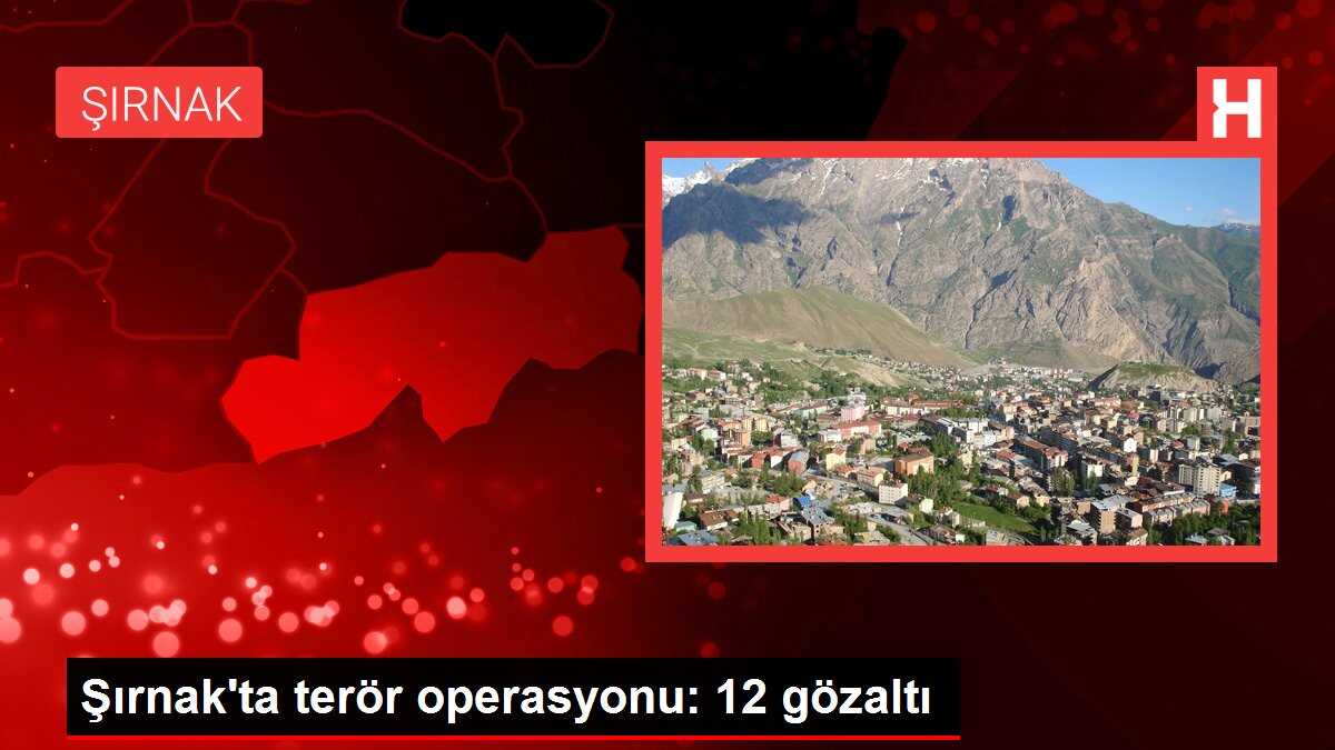 Şırnak'ta terör operasyonu: 12 gözaltı