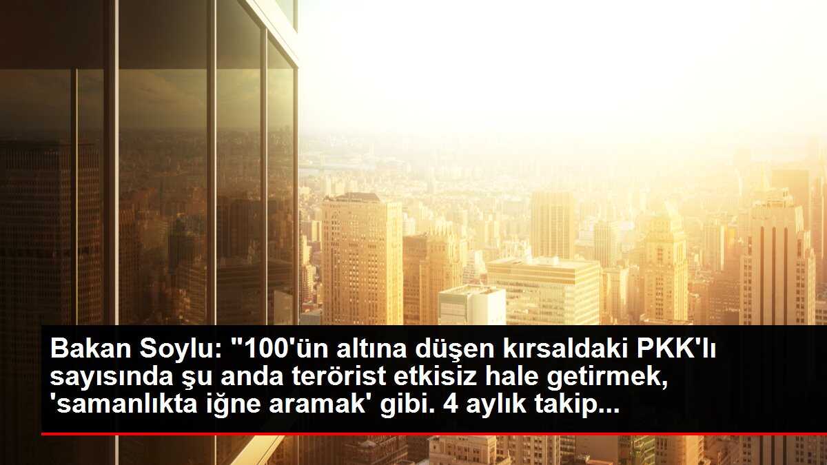 Bakan Soylu: '100'ün altına düşen kırsaldaki PKK'lı sayısında şu anda terörist etkisiz hale getirmek, 'samanlıkta iğne aramak' gibi. 4 aylık takip...