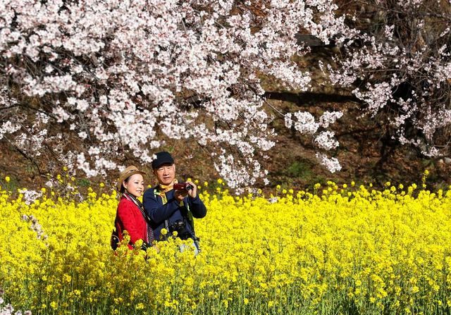 Çin Çevrimiçi Turizmin Yüksek Kaliteli Gelişimini Teşvik Edecek