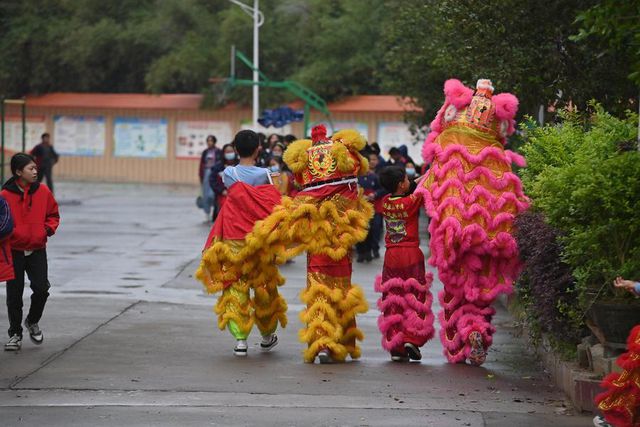 Çin'de Aslan Dansı Müfredata Girdi Çin'de Aslan Dansı Müfredata Girdi