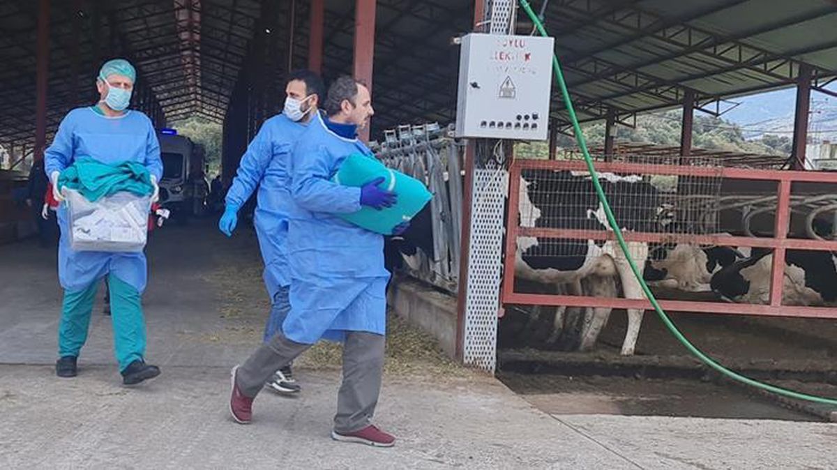 Yem karma makinesine düşen işçi hayatını kaybetti