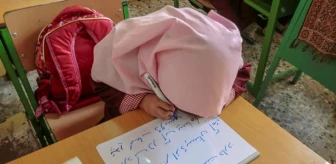 İran'da zorunlu başörtüsü kuralına uymayan öğrencilere eğitim verilmeyecek