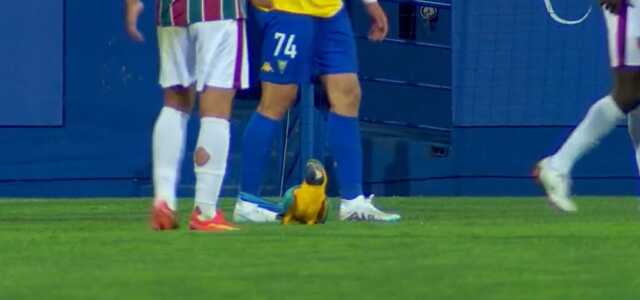 Ne köpek ne kedi! Sahaya giren hayvan futbol maçını felç etti