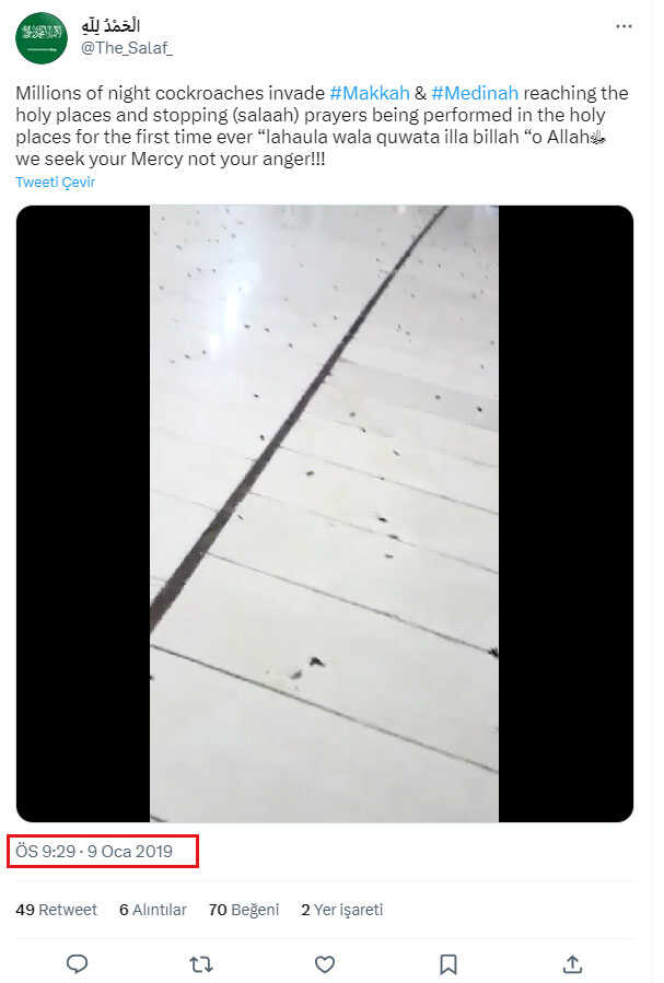 Kabe'nin hamam böceği istilasına uğradığı iddiası