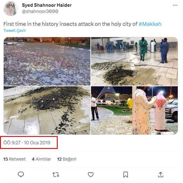 Kabe'nin hamam böceği istilasına uğradığı iddiası