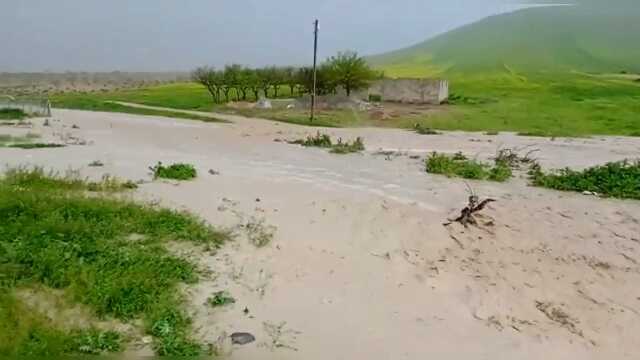 Şanlıurfa'da şiddetli yağmur