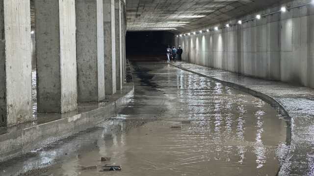 Şanlıurfa'da şiddetli yağmur
