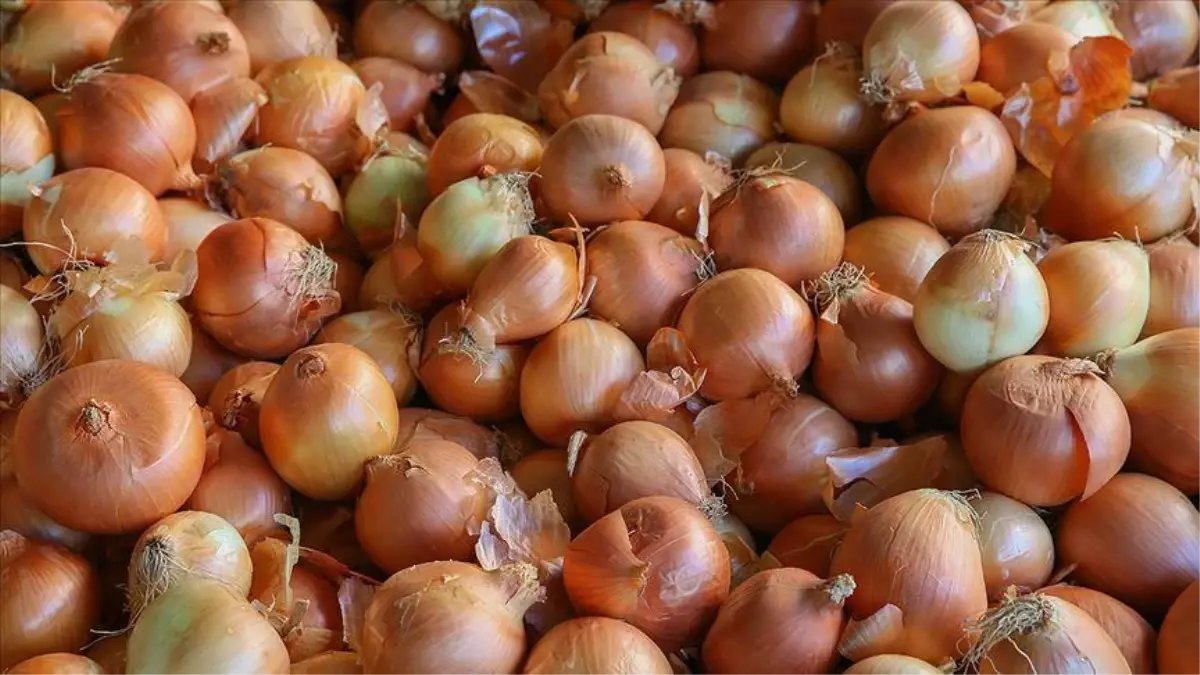 Soğan fiyatları düşecek mi? 1 kg soğan ne kadar, kaç TL? Soğan fiyatları ne kadar 2023!