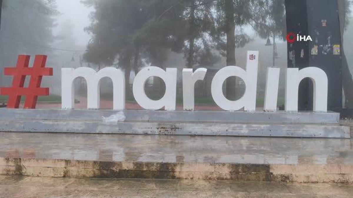Mardin'de yoğun sis etkili oldu
