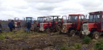 Bafralı Çiftçilerden 'Traktörlü' Protesto: 'Tarım Arazisine Beton Atmak, Cinayettir'
