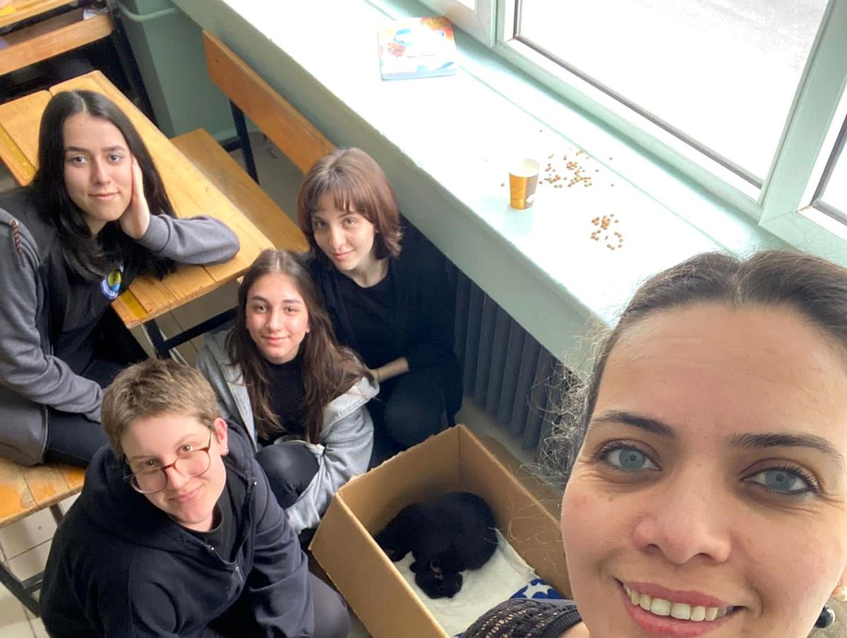 Ertuğrulgazi Lisesi'nin maskotu 'Gece' isimli kedinin 4 yavrusu oldu