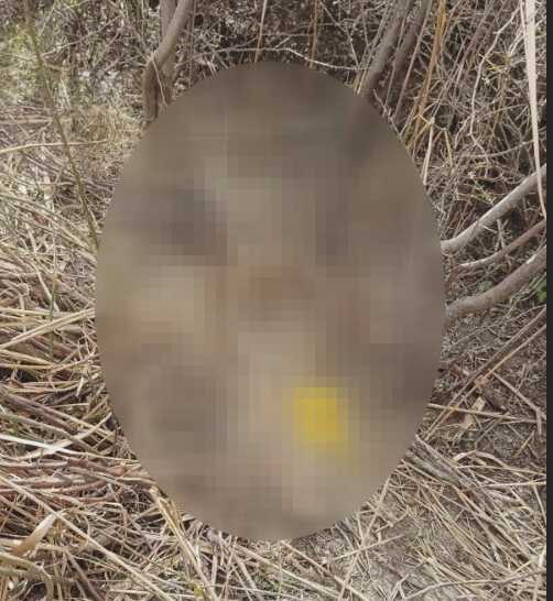 Ankara'da kafası koparılmış 45 günlük ceset bulundu